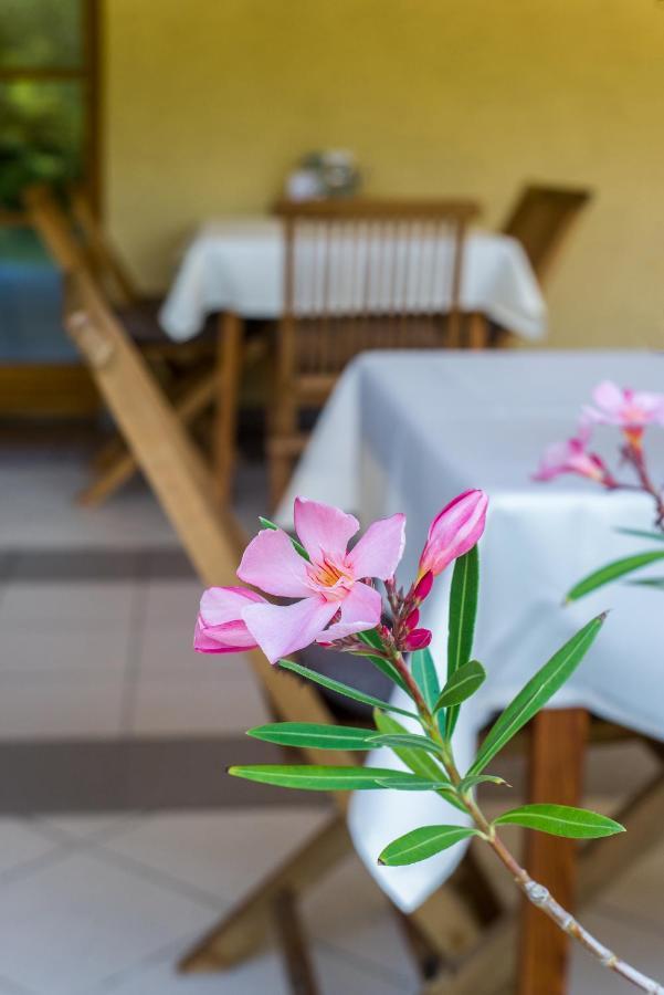 Regia Panzio Bed and Breakfast Halászi Εξωτερικό φωτογραφία